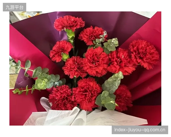 自由人送祝贺花束——为你的心灵送上最温暖的礼物